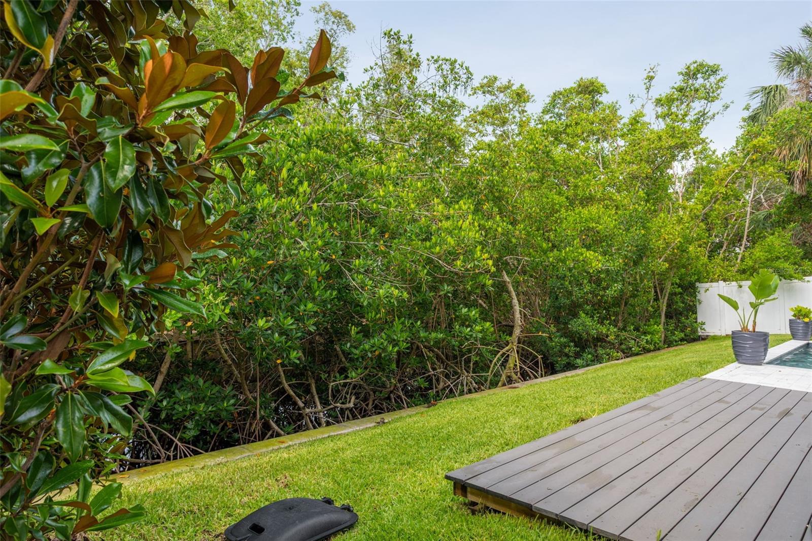 canal/mangroves
