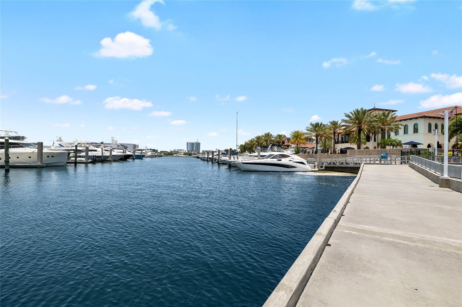 Marina Dock