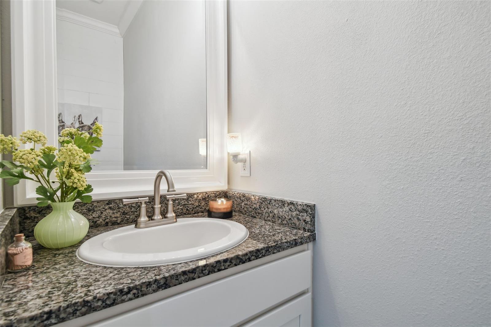Downstairs Half Bath