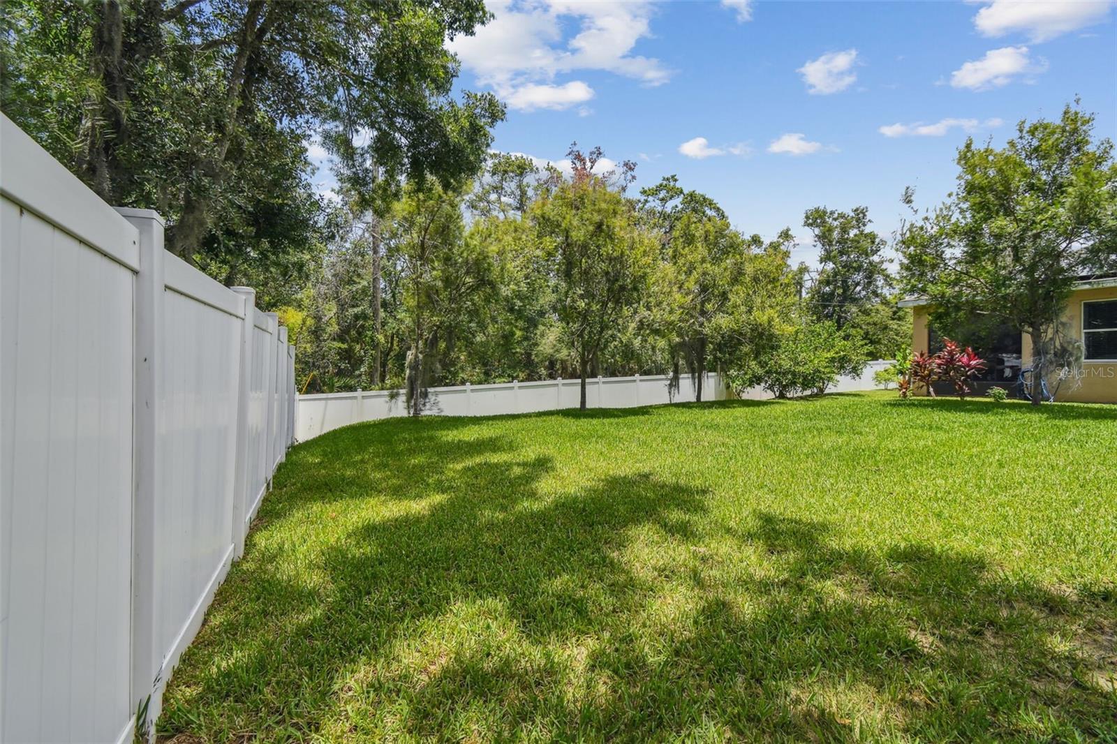 Large Backyard with Conservation View