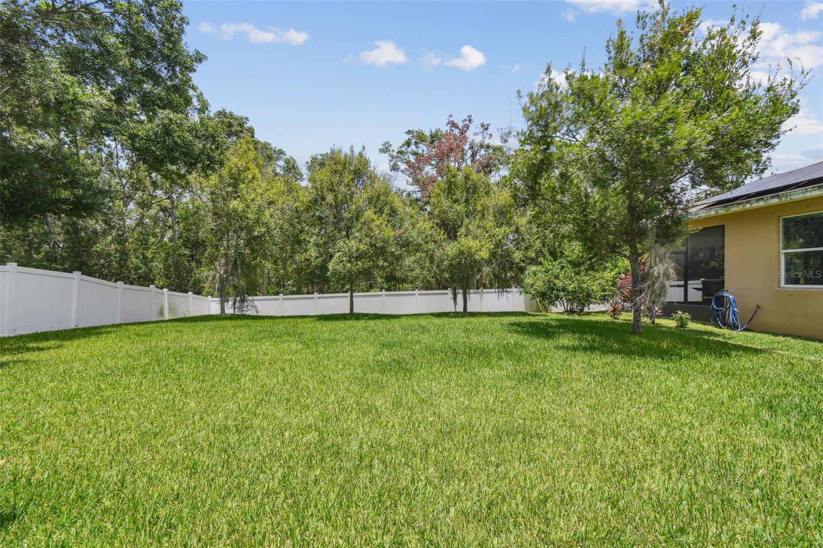 Large Backyard with Conservation View