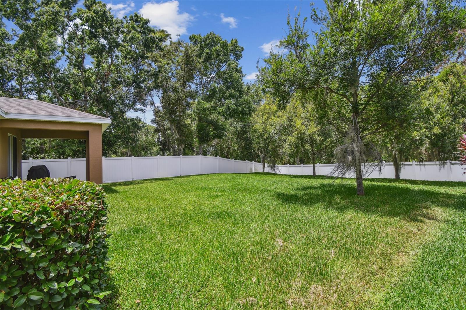 Large Backyard with Conservation View