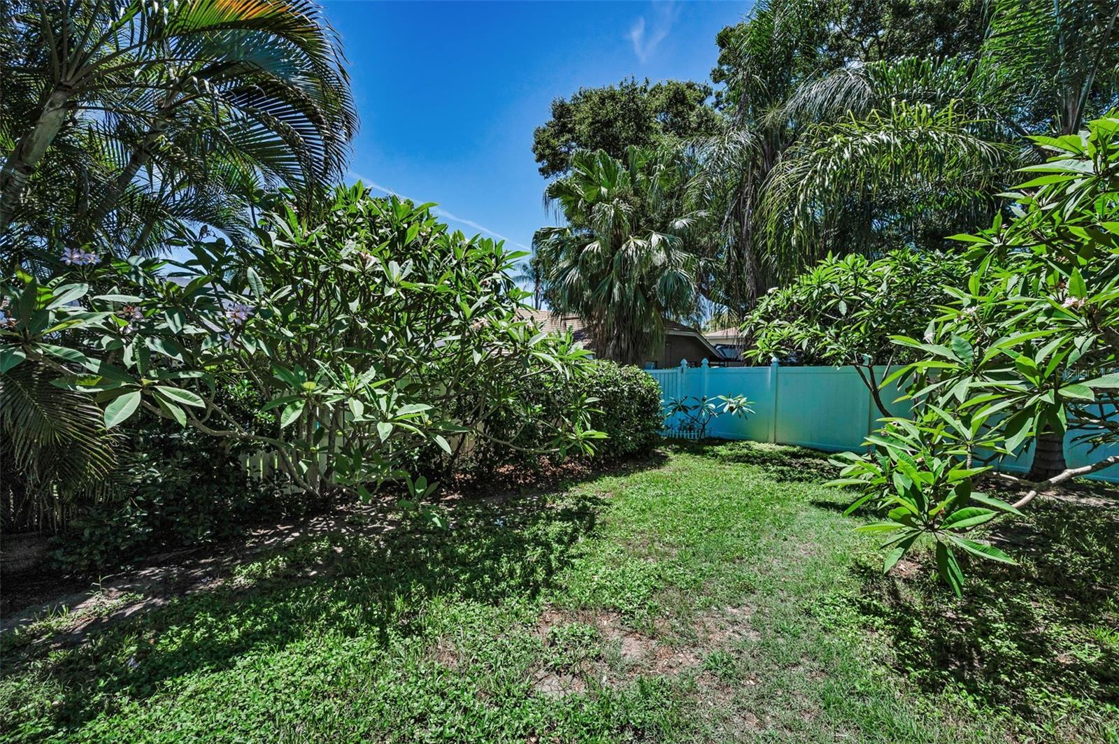Almost a 1/3 acre
