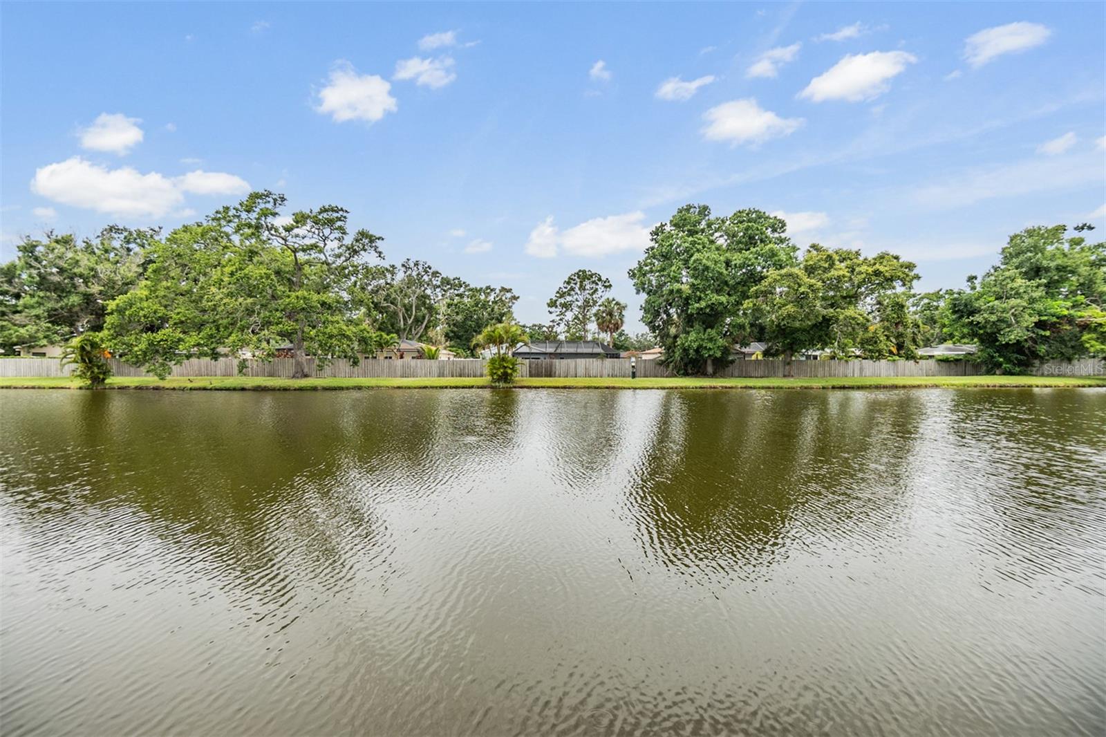 pond at back of property