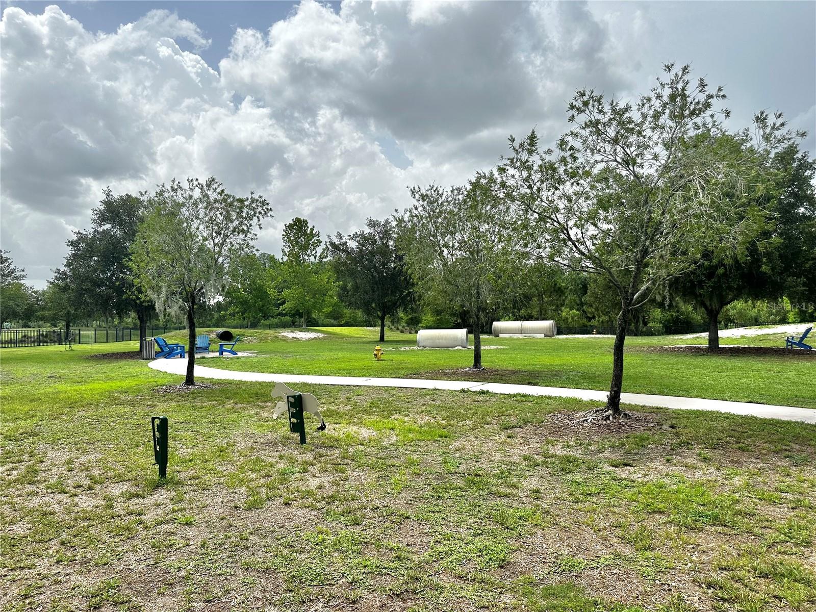 large dog park