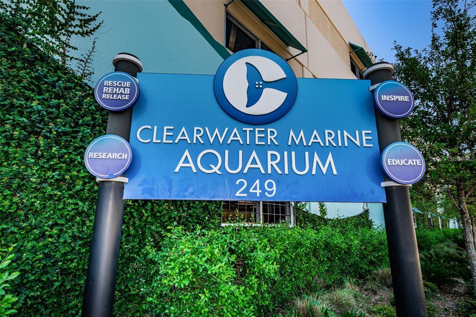 Enjoy the Cleawater Marine Aquarium, which is in your new neighborhood.