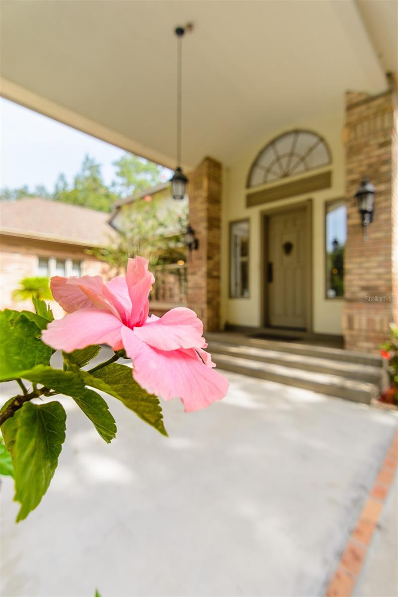 Welcome Home!