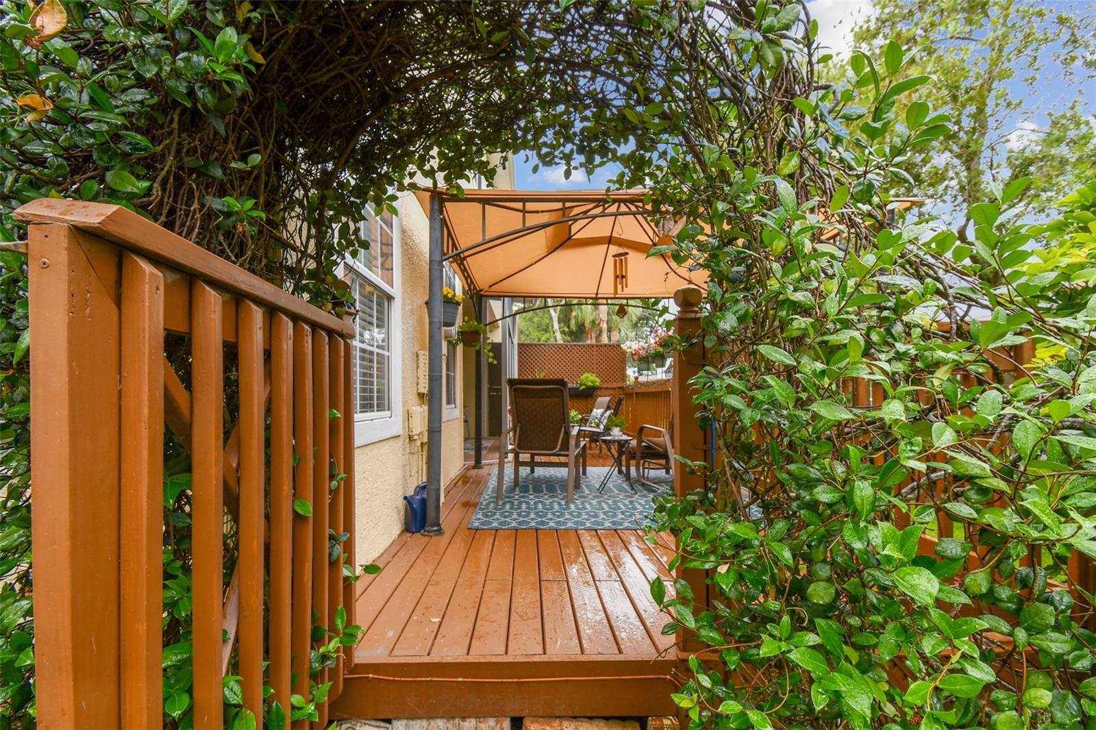 Walkway to back yard.