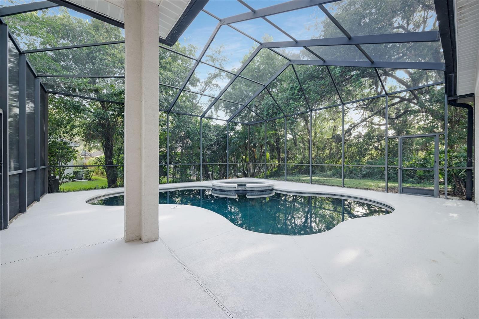 Screened lanai and pool
