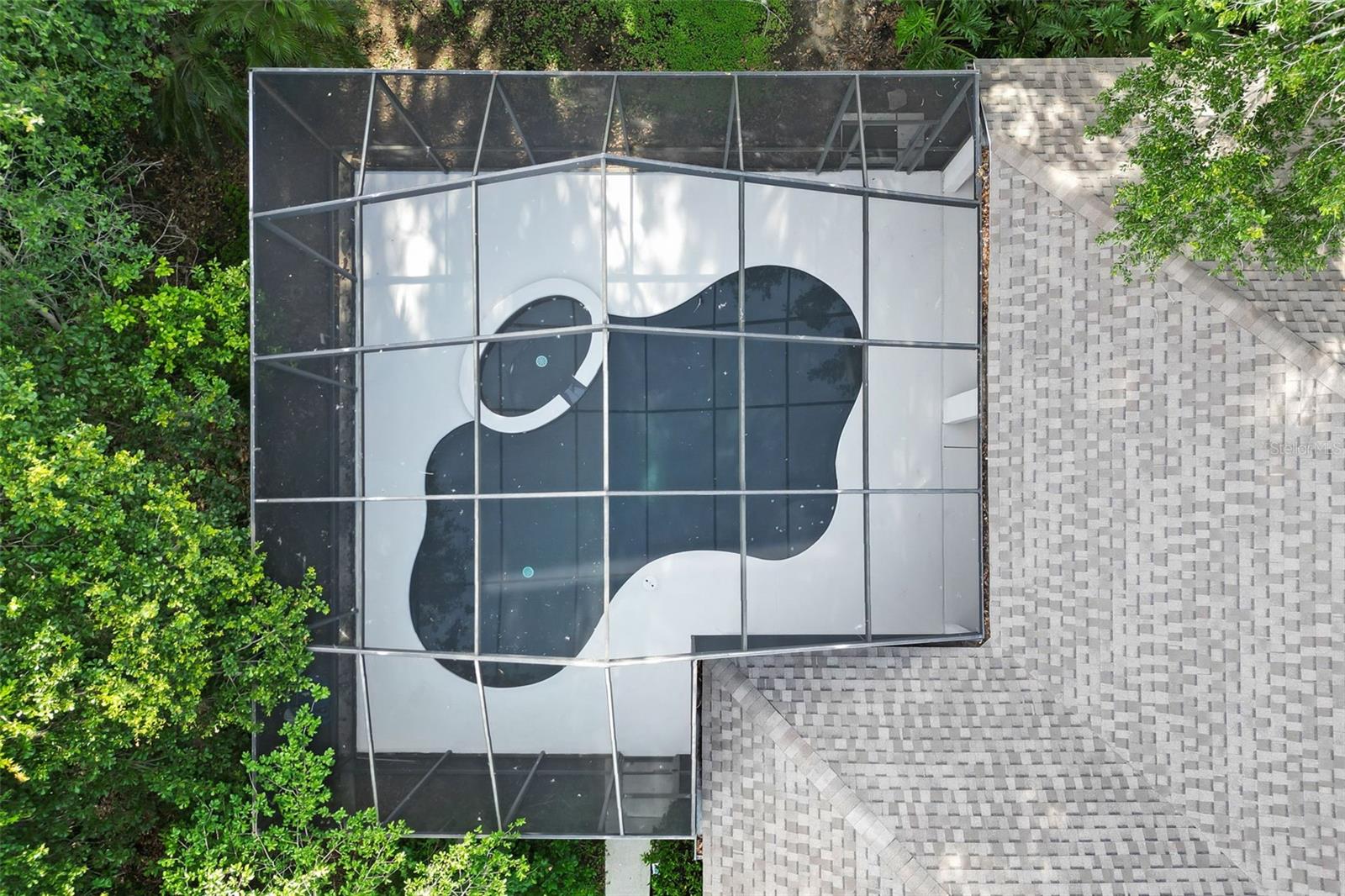 Pool Aerial view and shape!