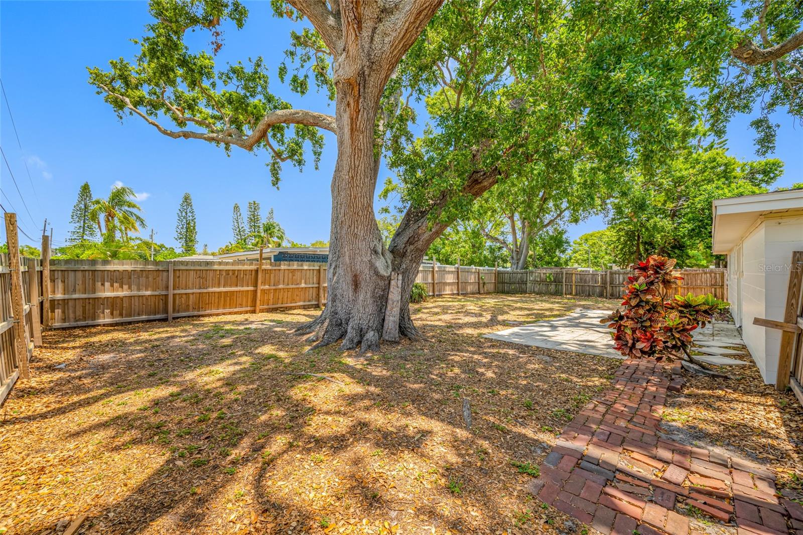 Fabulous Rear Yard!!