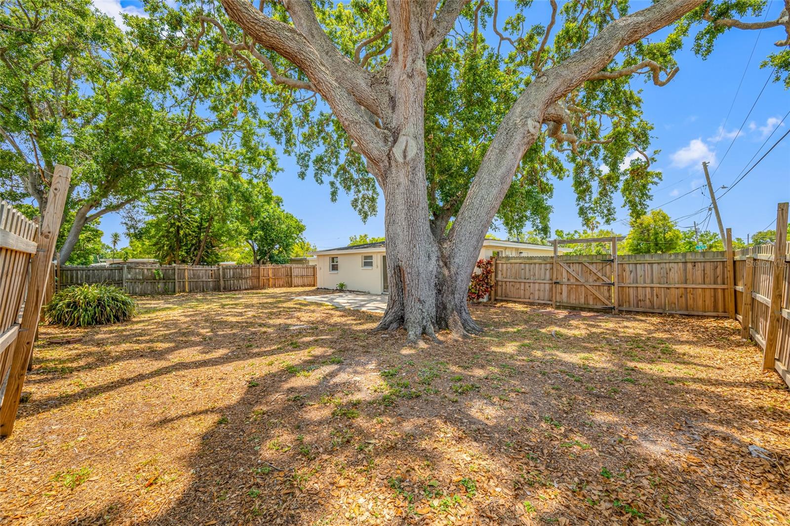 Mature Oak Tree Canopies Rear Fenced Yard!