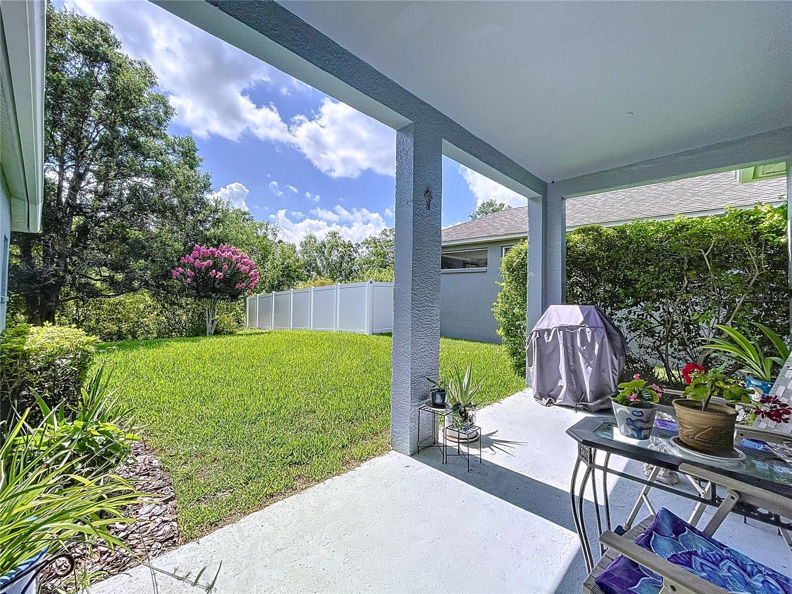 Back Porch