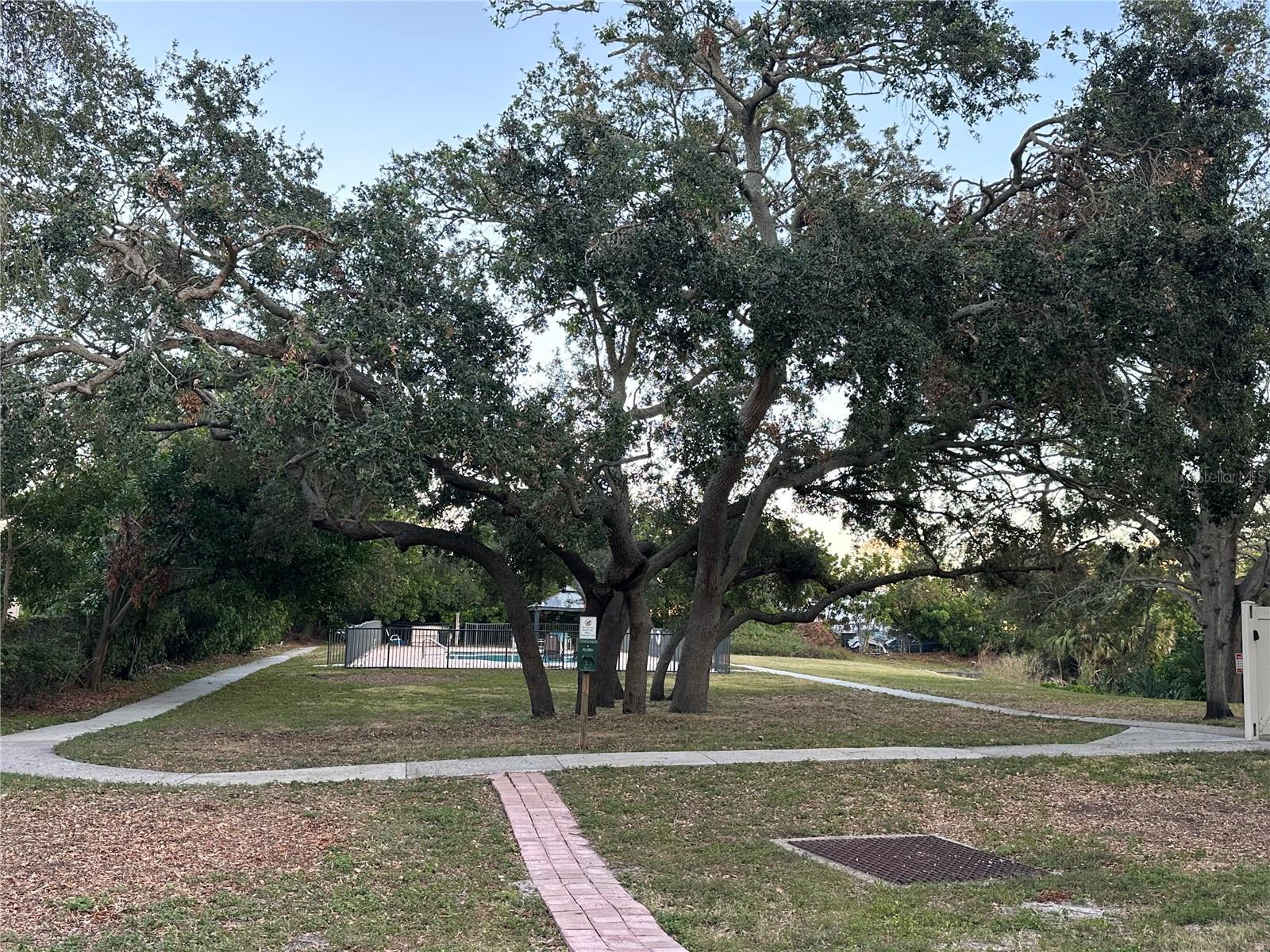 walking path to pool