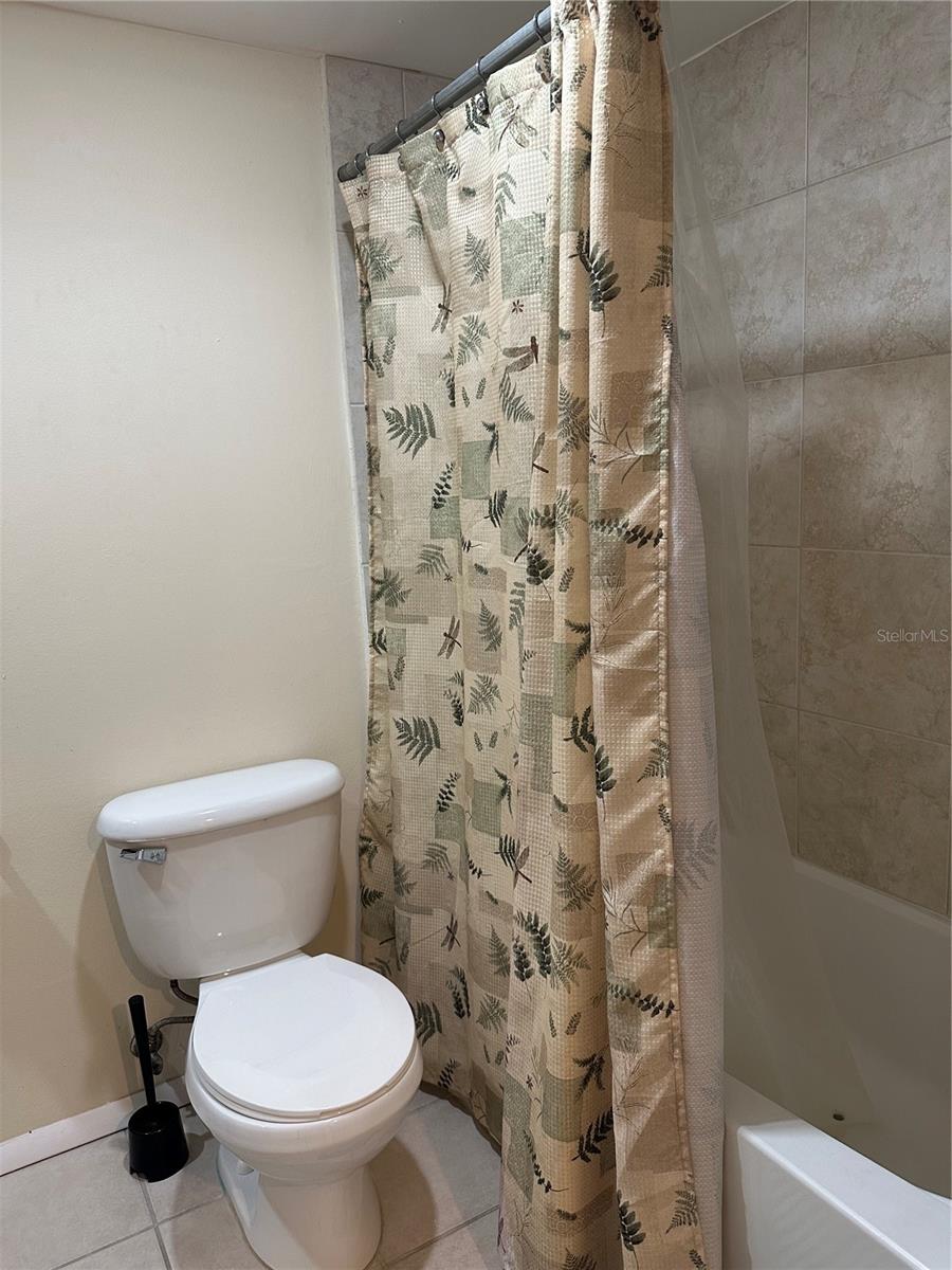 Guest tub & shower