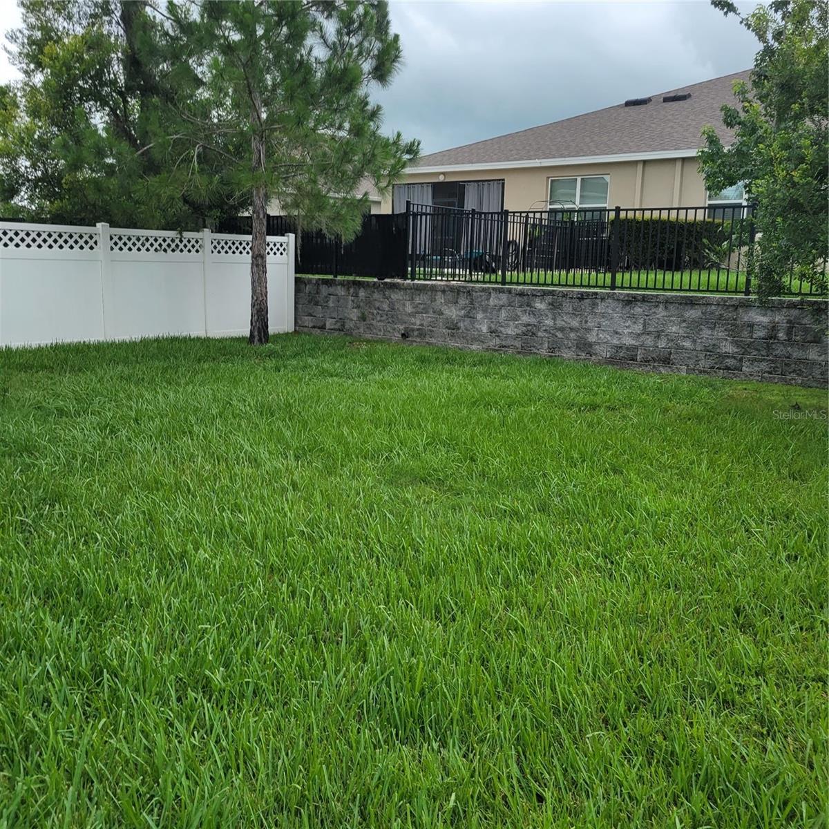 Left side fenced back yard