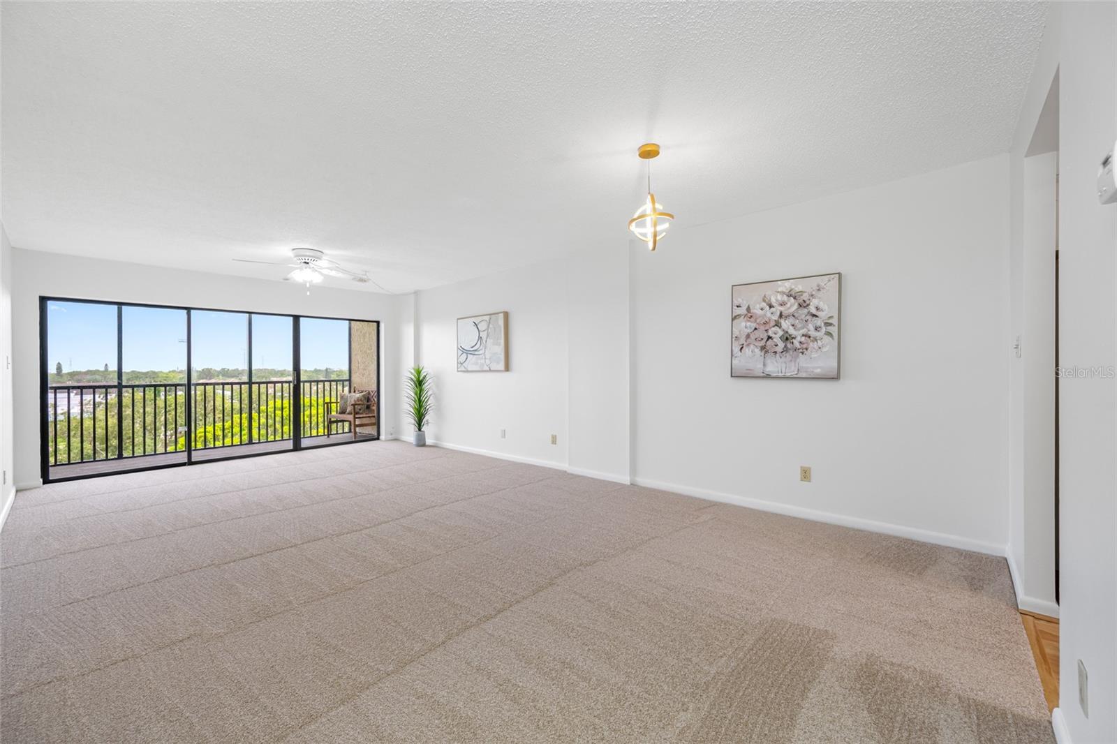 Living Dining Room combination