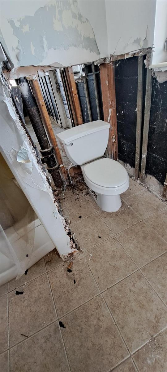 Bathroom existing toilet and bathtub