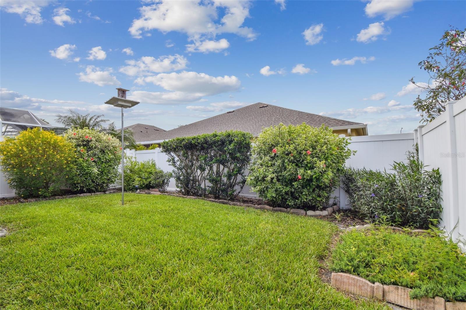 Landscaped Backyard
