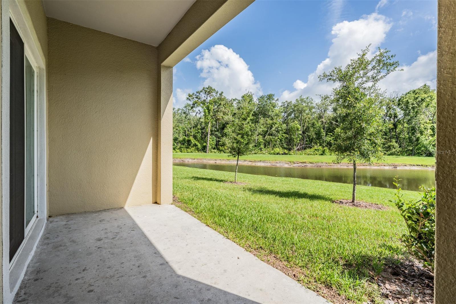 Back patio with wooded views