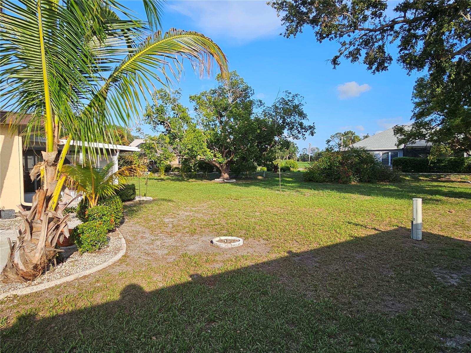 Back yard