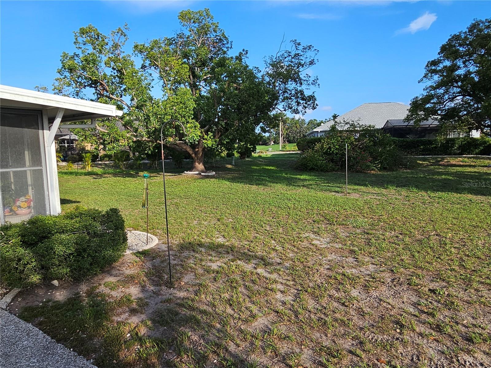 Back yard