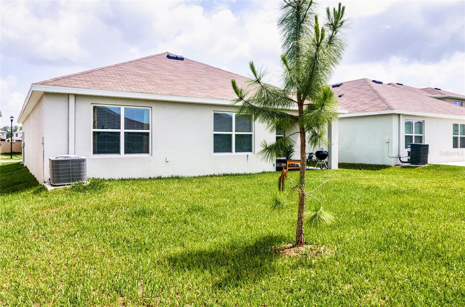 Spacious back yard