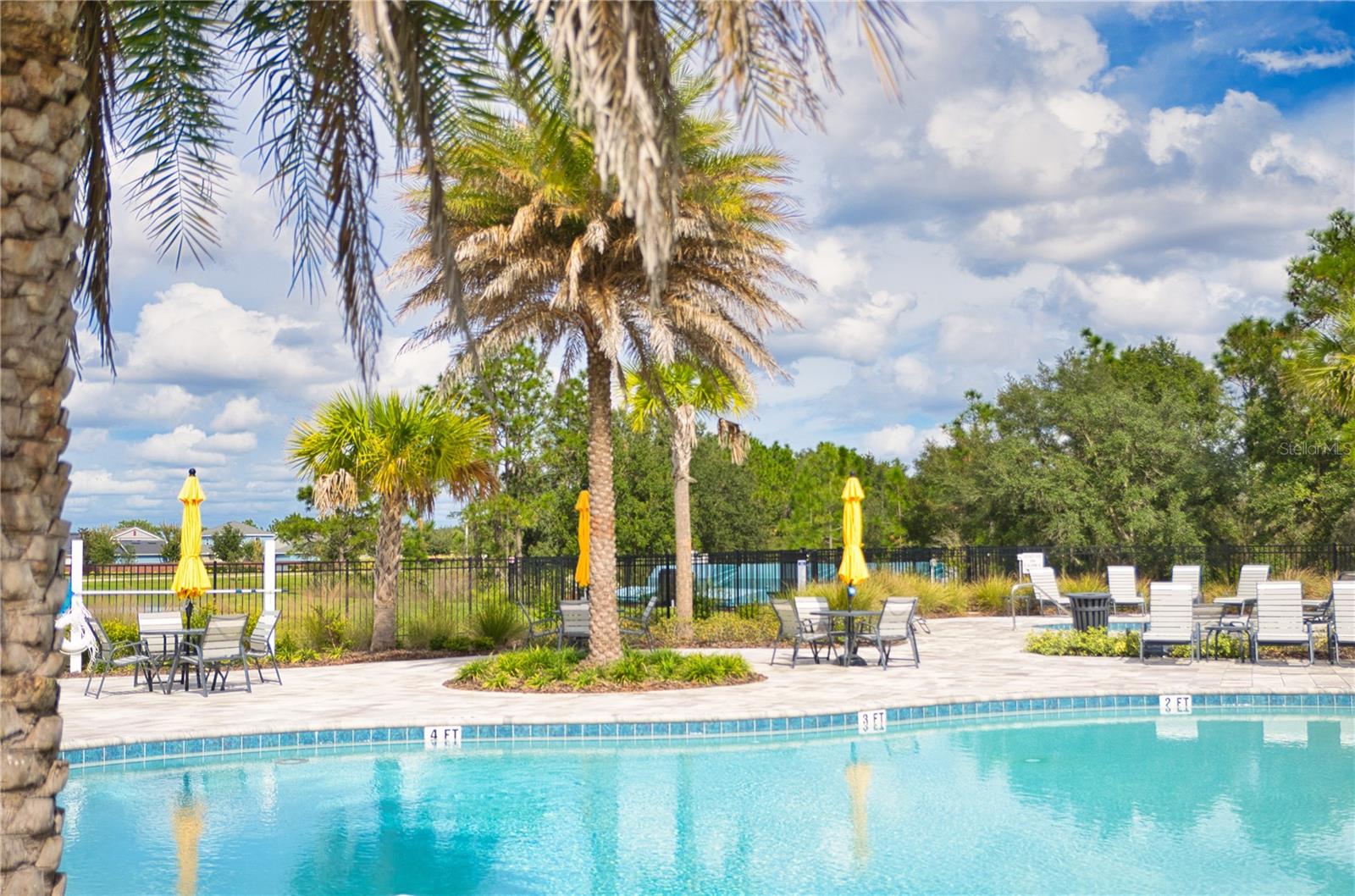 APW POOL AREA