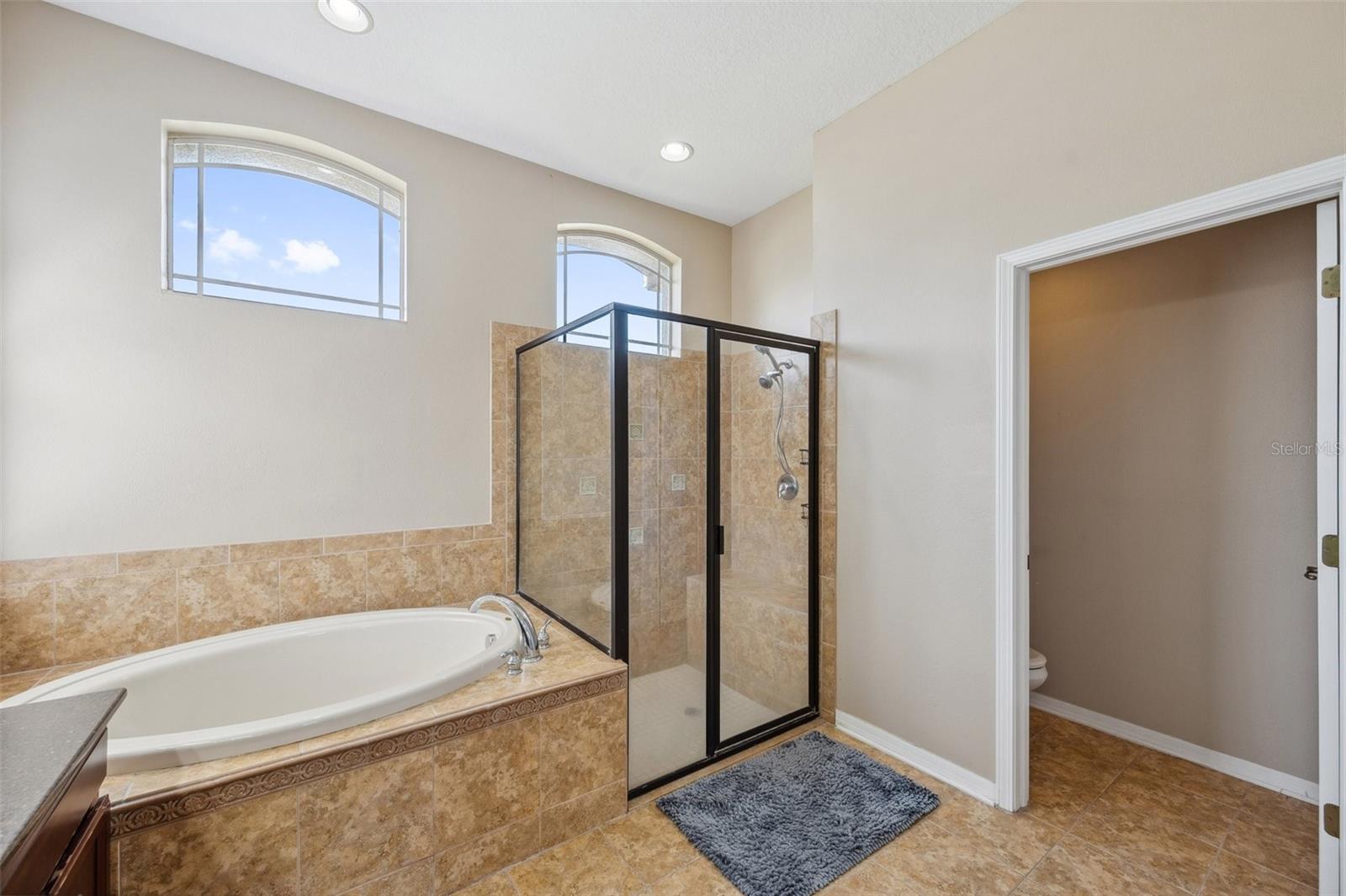 Garden tub & separate shower