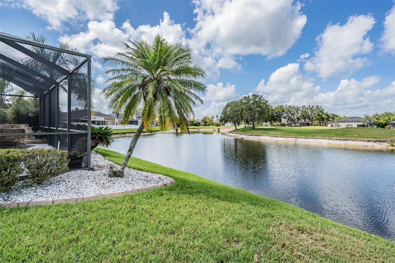 Beautiful Pond View