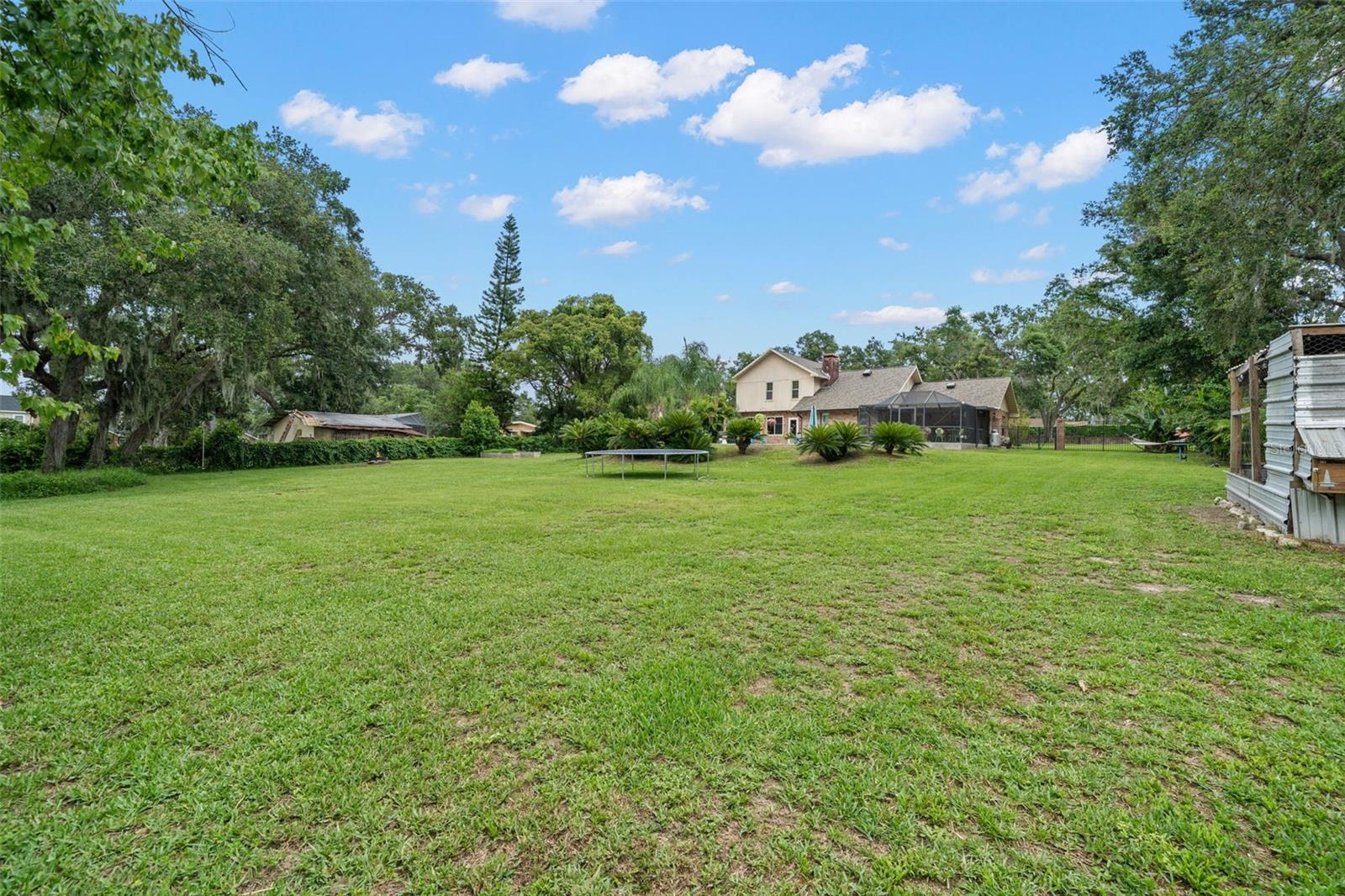 Expansive backyard