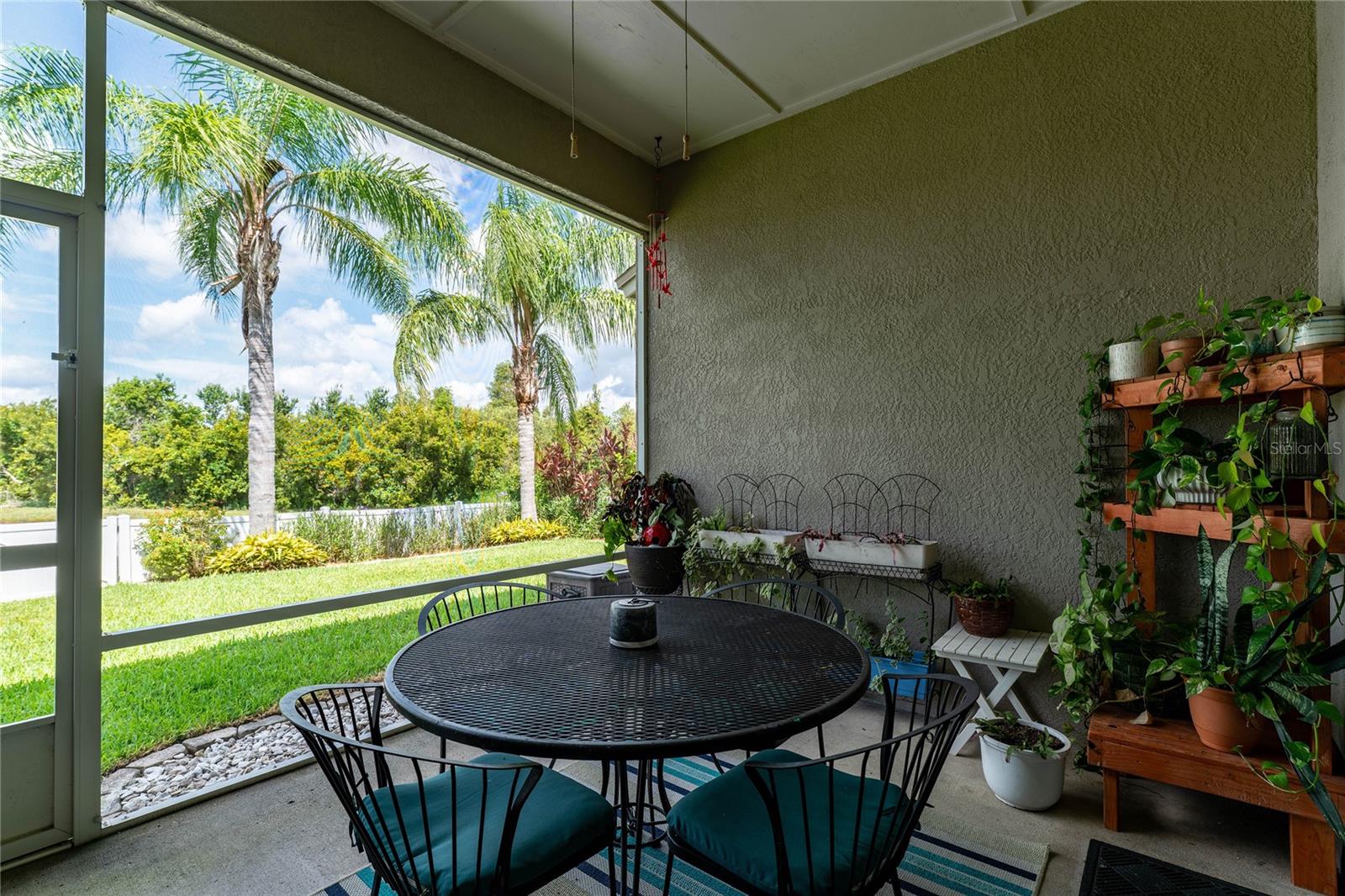 Back Patio