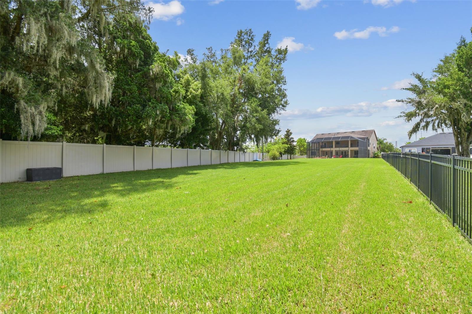 Long backyard