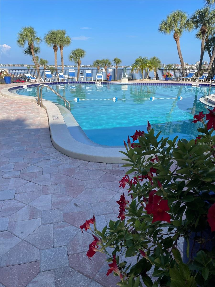 Pool has a view too