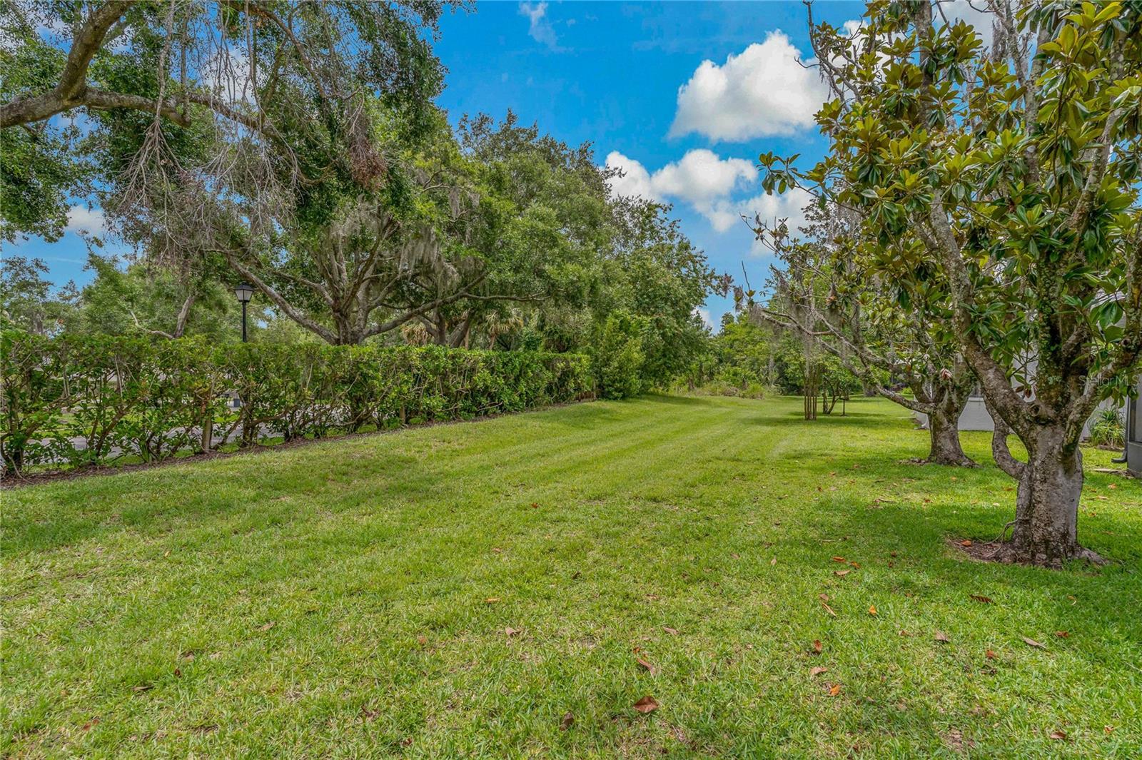 BACKYARD GREEN SPACE ~ WATCH THE DEER STROLL BY!