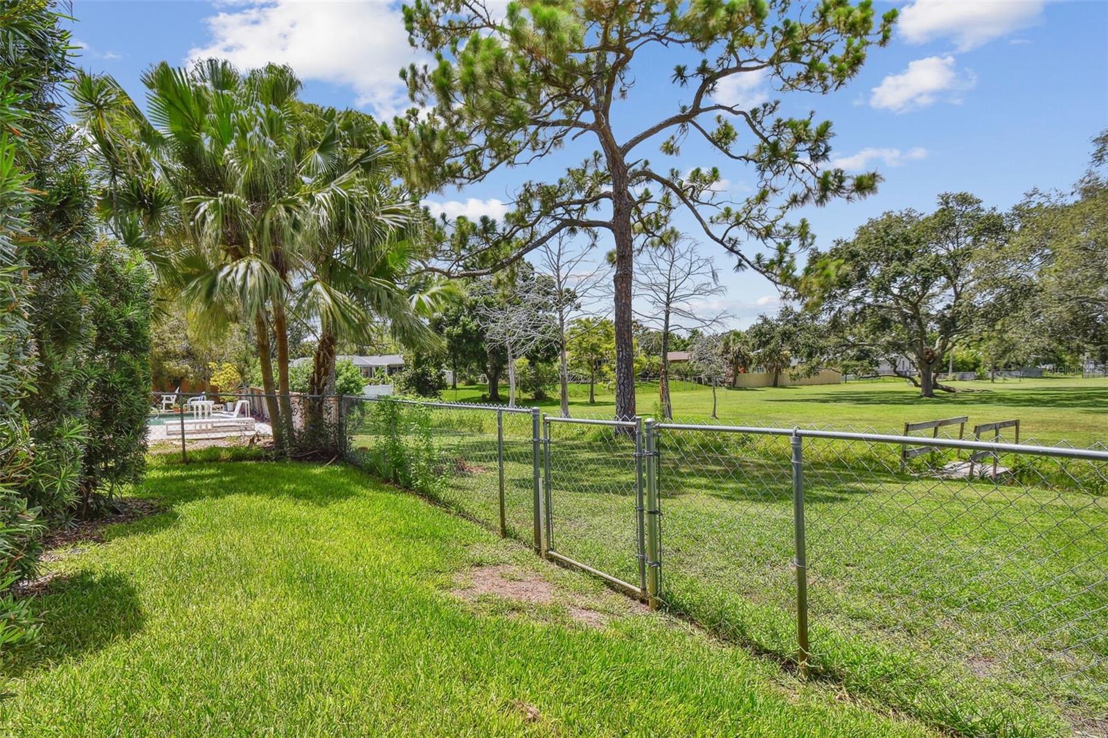Private backyard backs up to park
