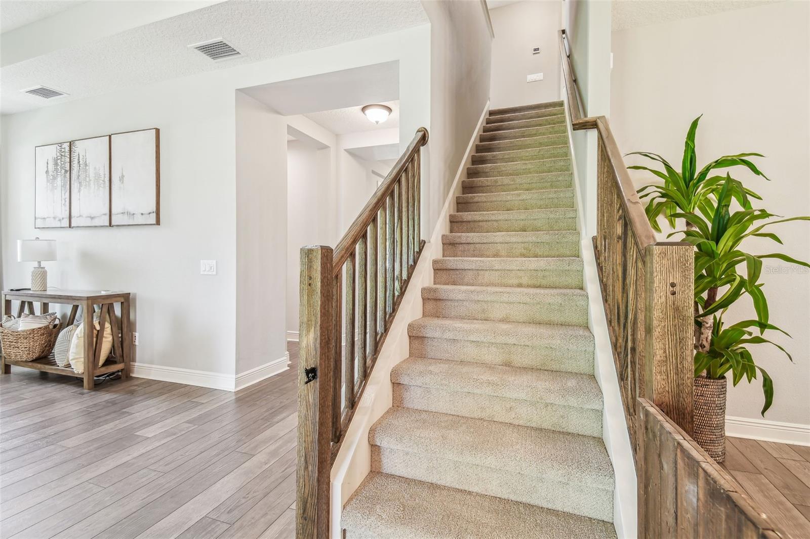 NEW carpet (just installed) as you (quietly) head upstairs