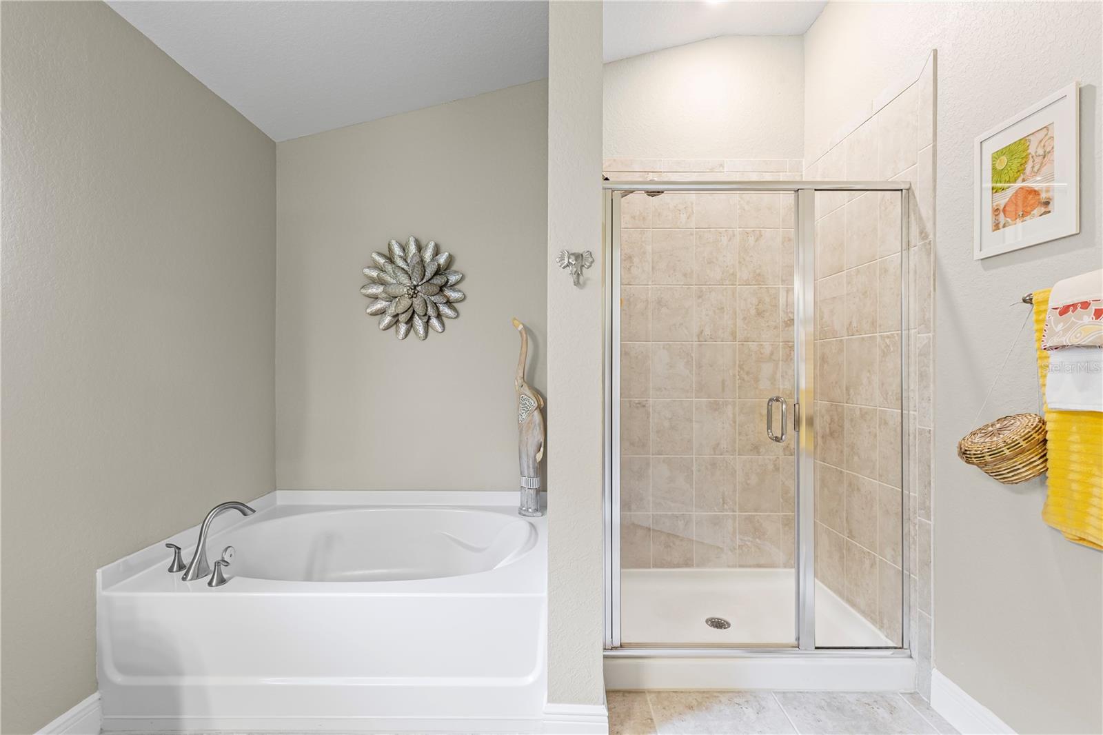 Garden Tub and Walk-in Shower