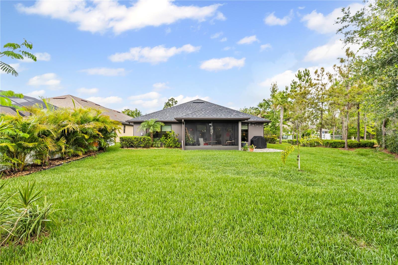 Huge Backyard