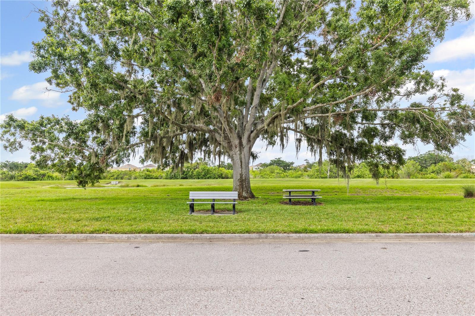 Walking Trails, park bench to relax