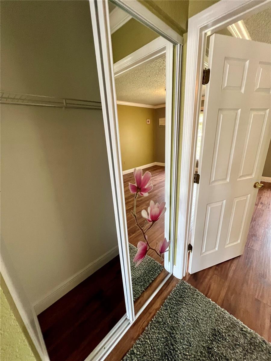 Hall closet for additional storage