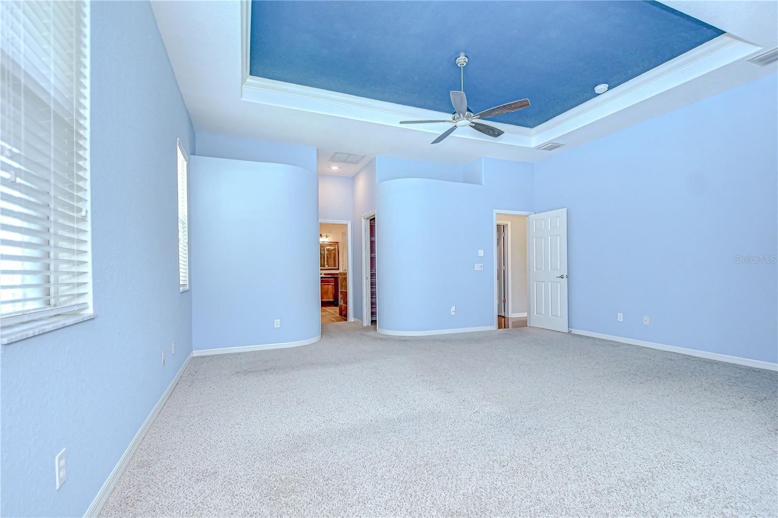 Tray ceiling accent!