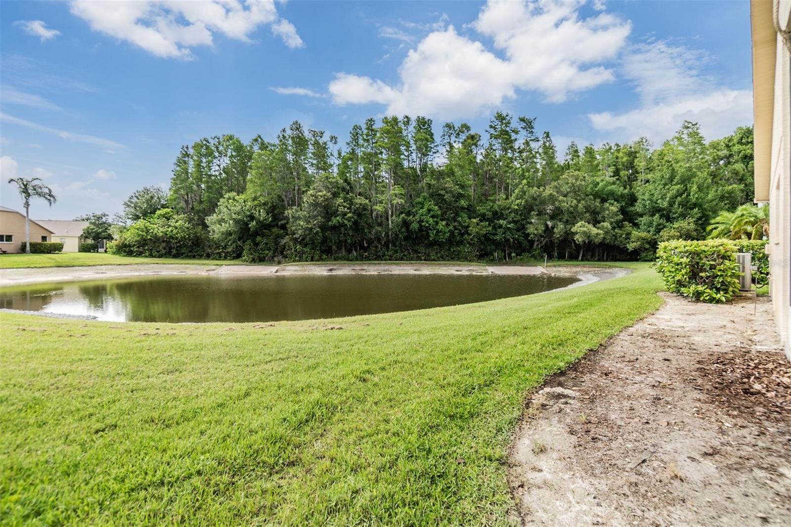 Pond view
