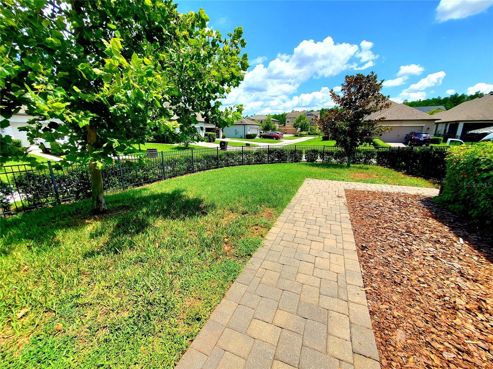 VIEW TO BACKYARD