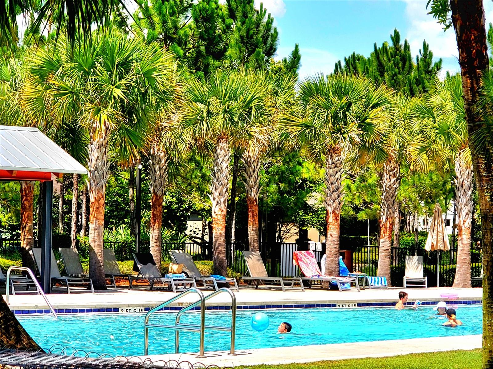 NEIGHBORHOOD POOL
