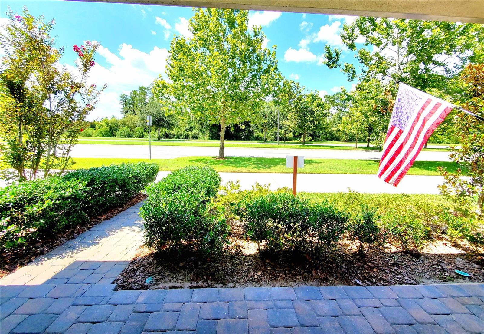 PATIO VIEW