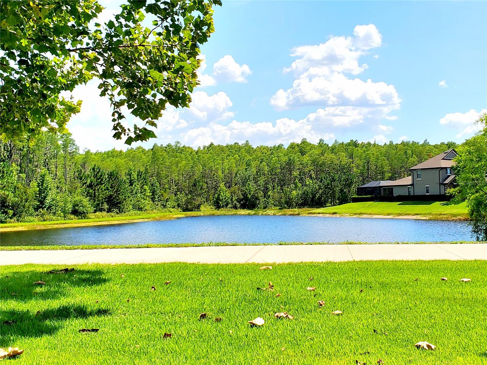 NEIGHBORING POND