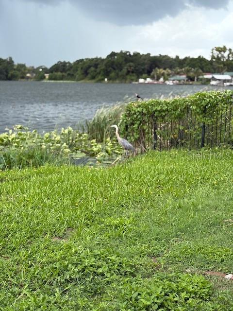 visitor at Lake Bellows