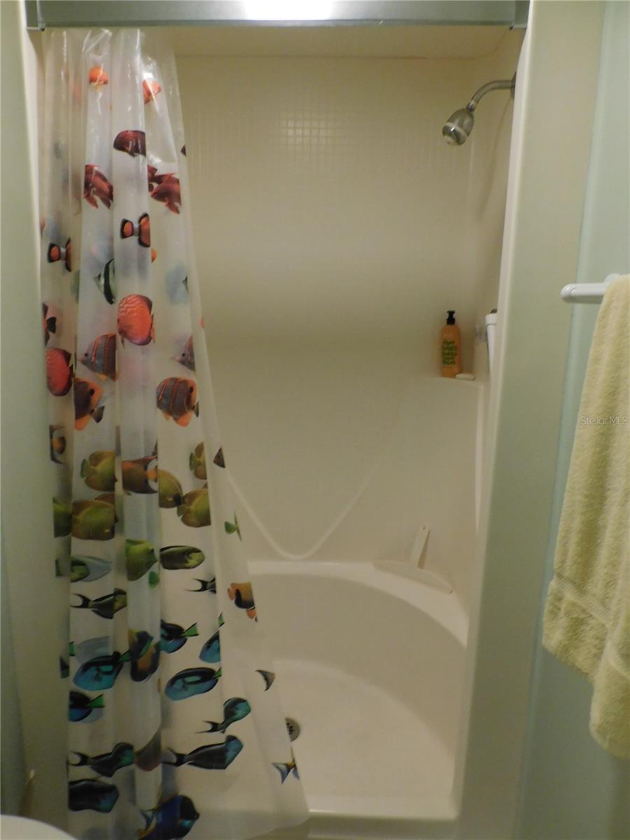 Primary Bathroom Shower