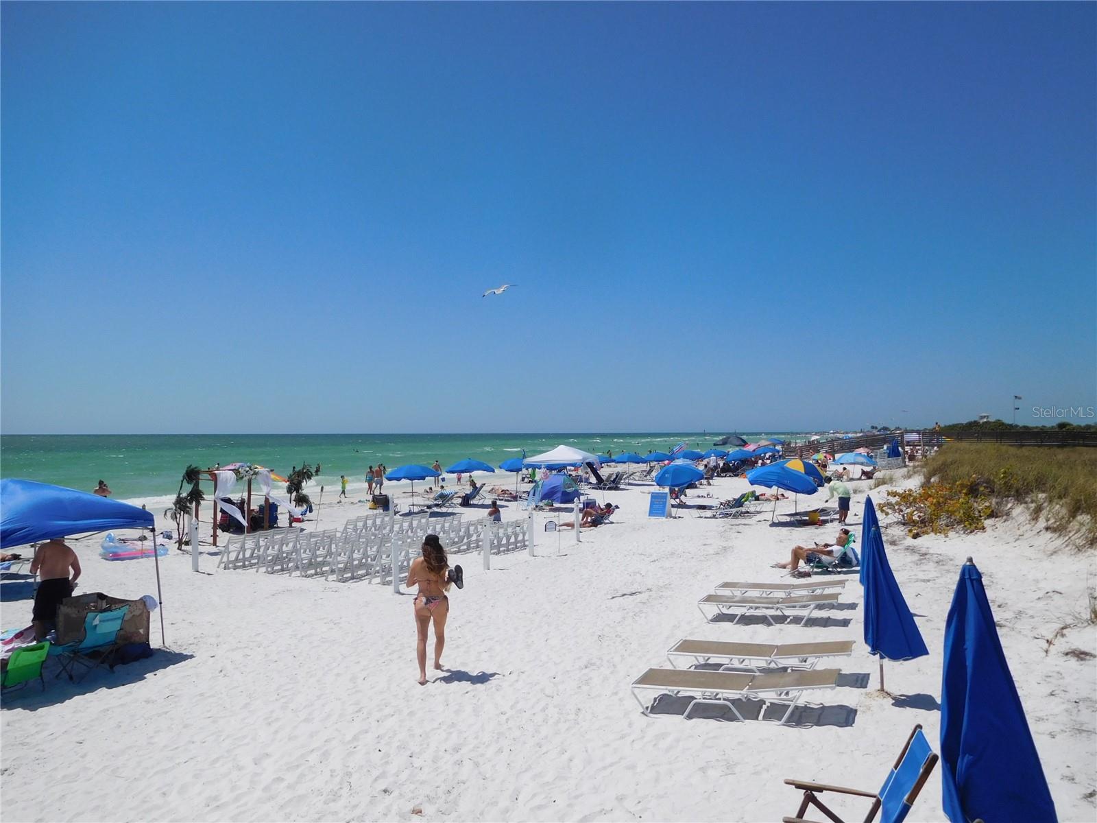 Honeymoon Island State Park Beach